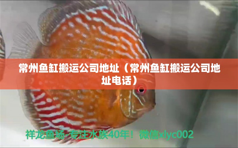 常州魚缸搬運公司地址（常州魚缸搬運公司地址電話） 祥龍水族醫(yī)院