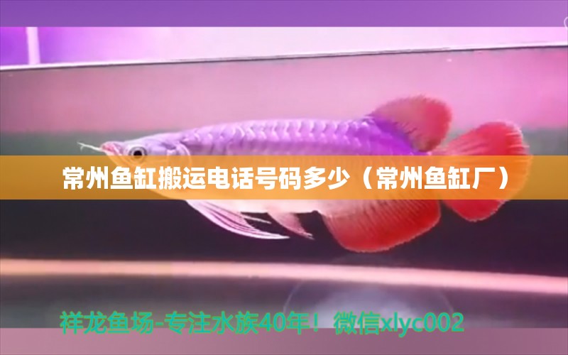 常州魚缸搬運電話號碼多少（常州魚缸廠）