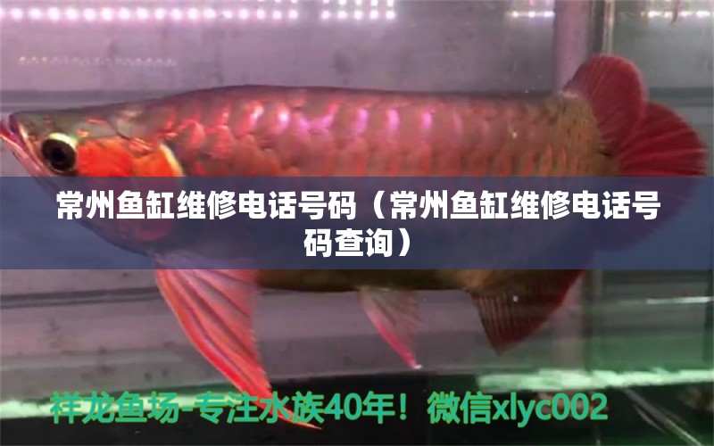 常州魚缸維修電話號碼（常州魚缸維修電話號碼查詢）