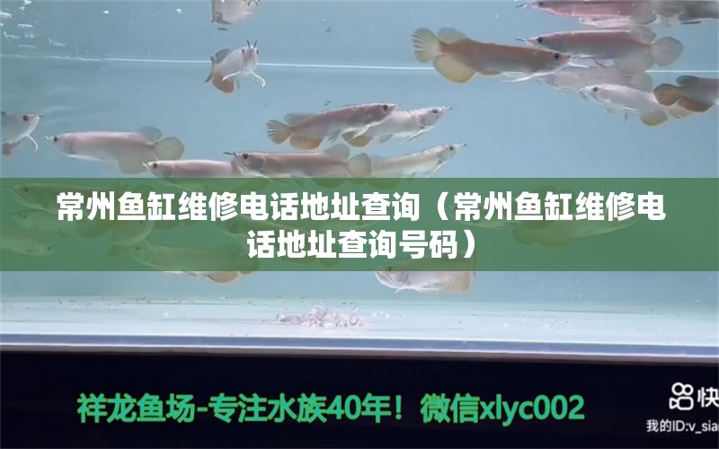 常州魚缸維修電話地址查詢（常州魚缸維修電話地址查詢號碼）