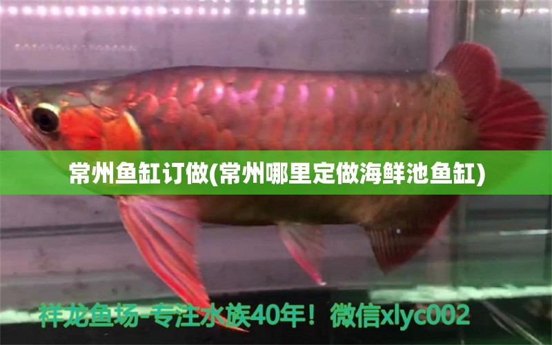 常州魚(yú)缸訂做(常州哪里定做海鮮池魚(yú)缸)