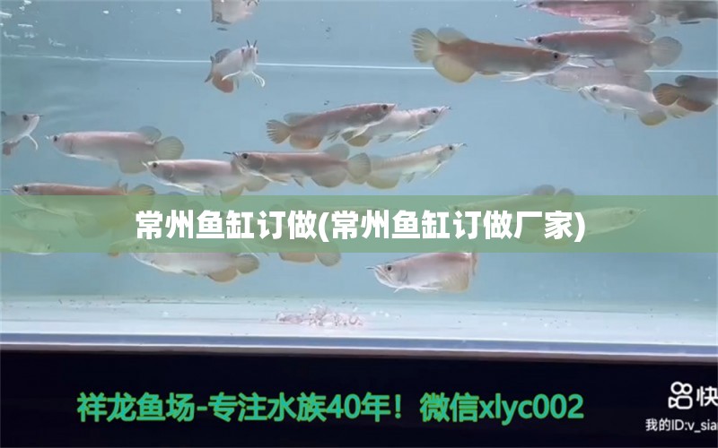 常州魚(yú)缸訂做(常州魚(yú)缸訂做廠家)