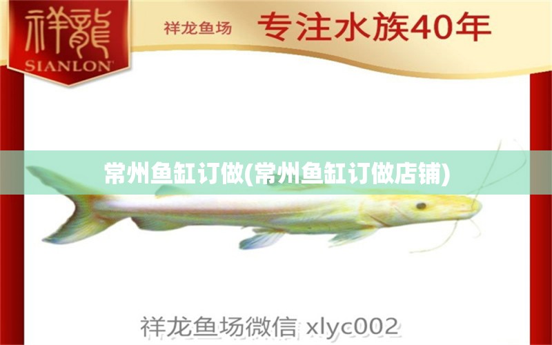 常州魚缸訂做(常州魚缸訂做店鋪) 熊貓異形魚L46 第1張