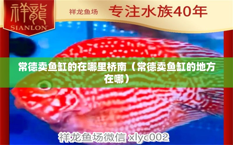 常德賣魚缸的在哪里橋南（常德賣魚缸的地方在哪）