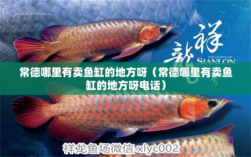 常德哪里有賣魚缸的地方呀（常德哪里有賣魚缸的地方呀電話） 其他品牌魚缸