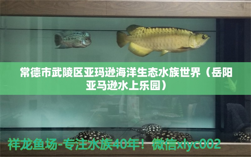 常德市武陵區(qū)亞瑪遜海洋生態(tài)水族世界（岳陽亞馬遜水上樂園）