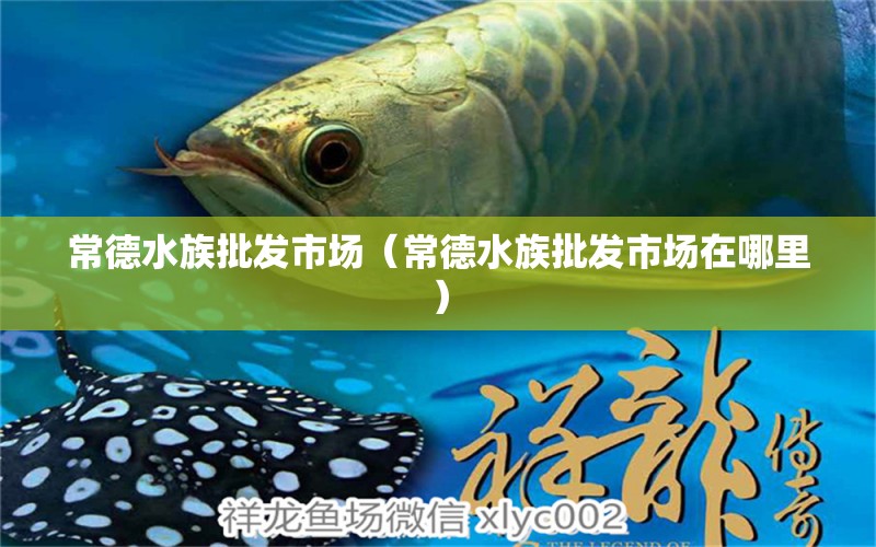 常德水族批發(fā)市場(chǎng)（常德水族批發(fā)市場(chǎng)在哪里）