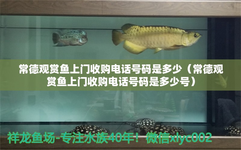 常德觀賞魚上門收購電話號碼是多少（常德觀賞魚上門收購電話號碼是多少號）