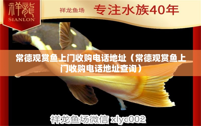 常德觀賞魚(yú)上門(mén)收購(gòu)電話地址（常德觀賞魚(yú)上門(mén)收購(gòu)電話地址查詢） 觀賞魚(yú)市場(chǎng)（混養(yǎng)魚(yú)）