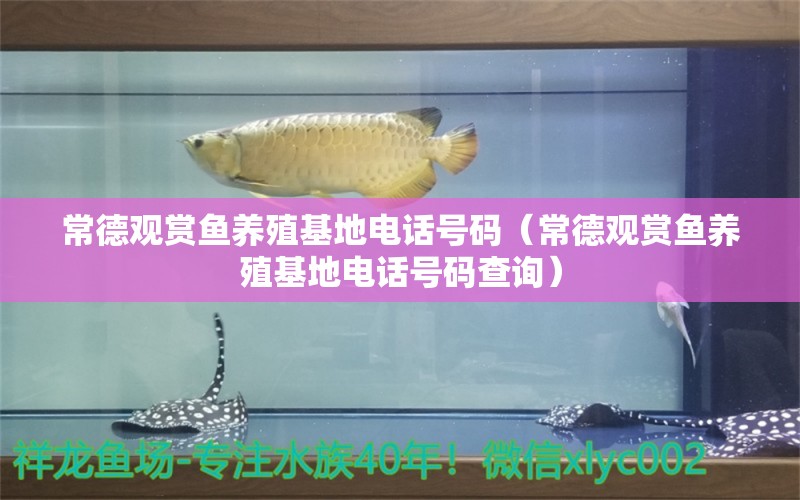 常德觀賞魚養(yǎng)殖基地電話號碼（常德觀賞魚養(yǎng)殖基地電話號碼查詢）