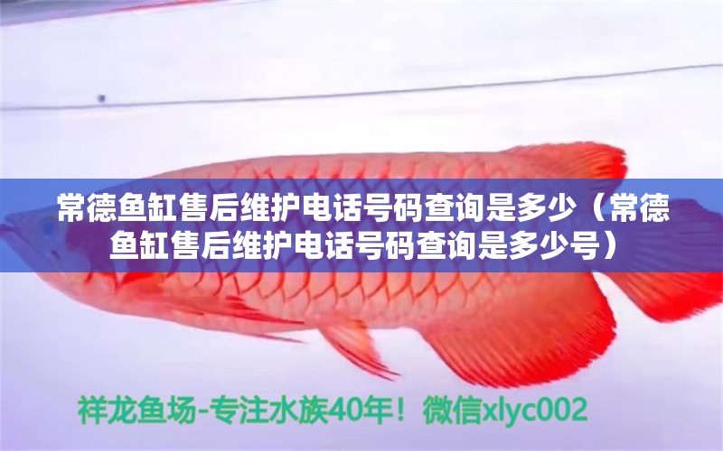 常德魚缸售后維護(hù)電話號碼查詢是多少（常德魚缸售后維護(hù)電話號碼查詢是多少號）