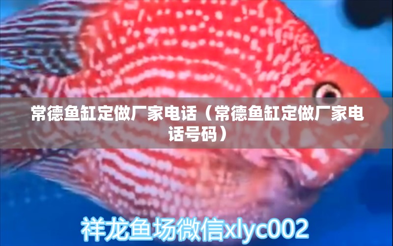 常德魚缸定做廠家電話（常德魚缸定做廠家電話號(hào)碼）