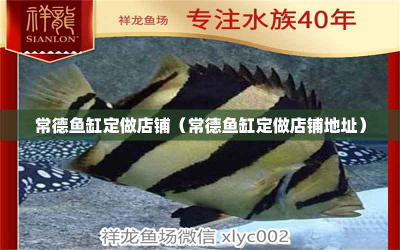 常德魚缸定做店鋪（常德魚缸定做店鋪地址） 其他品牌魚缸