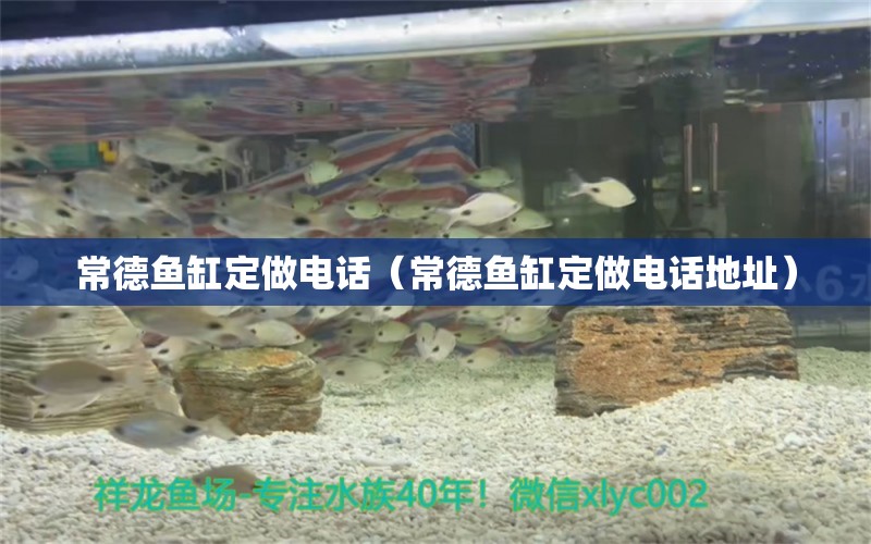 常德魚缸定做電話（常德魚缸定做電話地址）