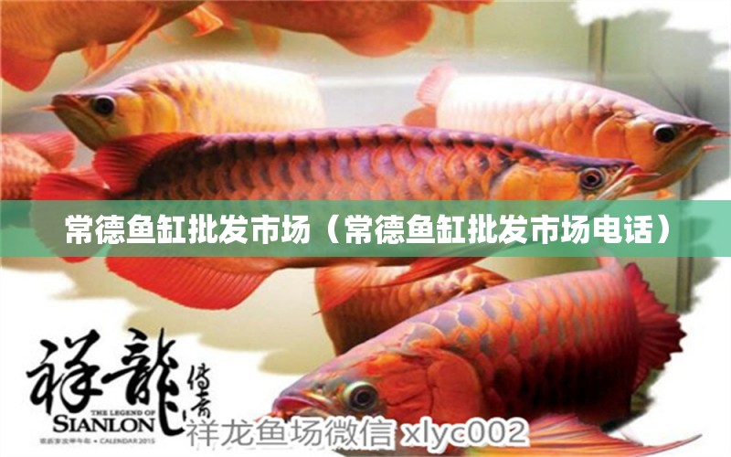 常德魚缸批發(fā)市場（常德魚缸批發(fā)市場電話）