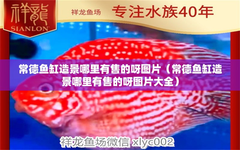 常德魚缸造景哪里有售的呀圖片（常德魚缸造景哪里有售的呀圖片大全）