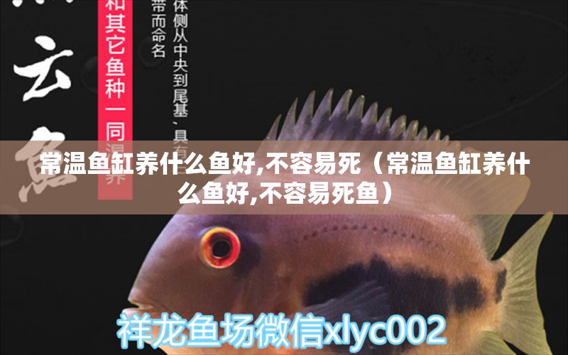 常溫魚缸養(yǎng)什么魚好,不容易死（常溫魚缸養(yǎng)什么魚好,不容易死魚）