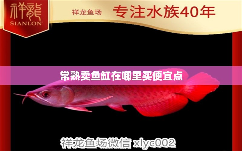 常熟賣魚(yú)缸在哪里買便宜點(diǎn) 紅白錦鯉魚(yú)