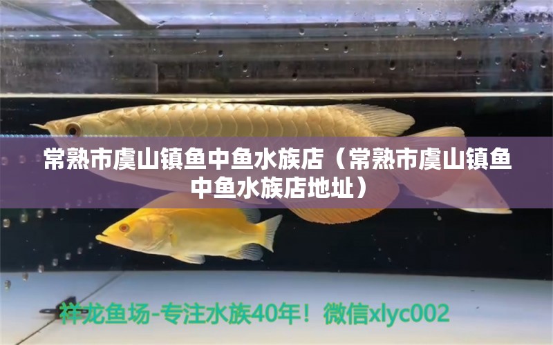 常熟市虞山鎮(zhèn)魚中魚水族店（常熟市虞山鎮(zhèn)魚中魚水族店地址） 全國水族館企業(yè)名錄