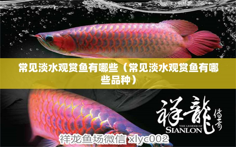 常見淡水觀賞魚有哪些（常見淡水觀賞魚有哪些品種）