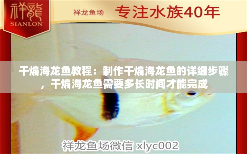 干煸海龍魚教程：制作干煸海龍魚的詳細(xì)步驟，干煸海龍魚需要多長(zhǎng)時(shí)間才能完成 水族問(wèn)答 第2張