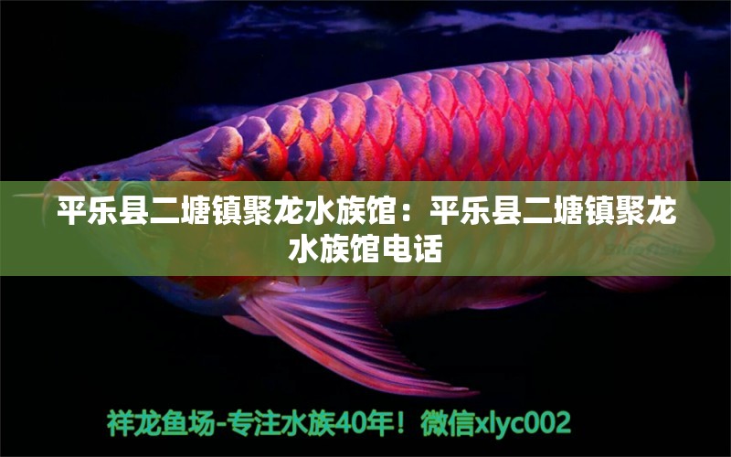 平樂縣二塘鎮(zhèn)聚龍水族館：平樂縣二塘鎮(zhèn)聚龍水族館電話 全國水族館企業(yè)名錄