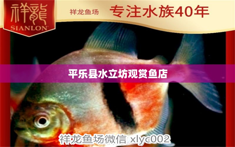 平樂縣水立坊觀賞魚店 全國水族館企業(yè)名錄