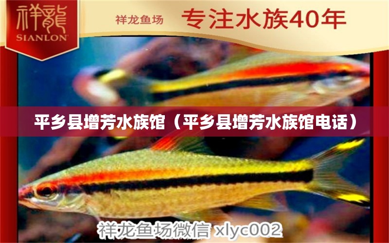 平鄉(xiāng)縣增芳水族館（平鄉(xiāng)縣增芳水族館電話） 全國(guó)水族館企業(yè)名錄