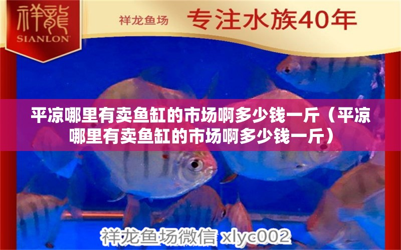 平?jīng)瞿睦镉匈u魚缸的市場啊多少錢一斤（平?jīng)瞿睦镉匈u魚缸的市場啊多少錢一斤）