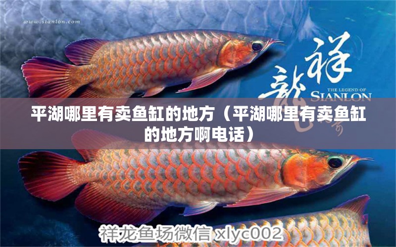 平湖哪里有賣魚缸的地方（平湖哪里有賣魚缸的地方啊電話） 馬拉莫寶石魚