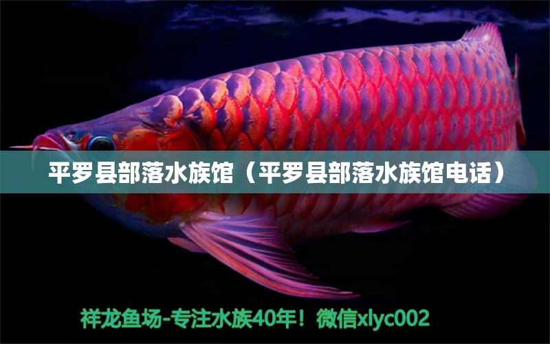 平羅縣部落水族館（平羅縣部落水族館電話） 全國水族館企業(yè)名錄