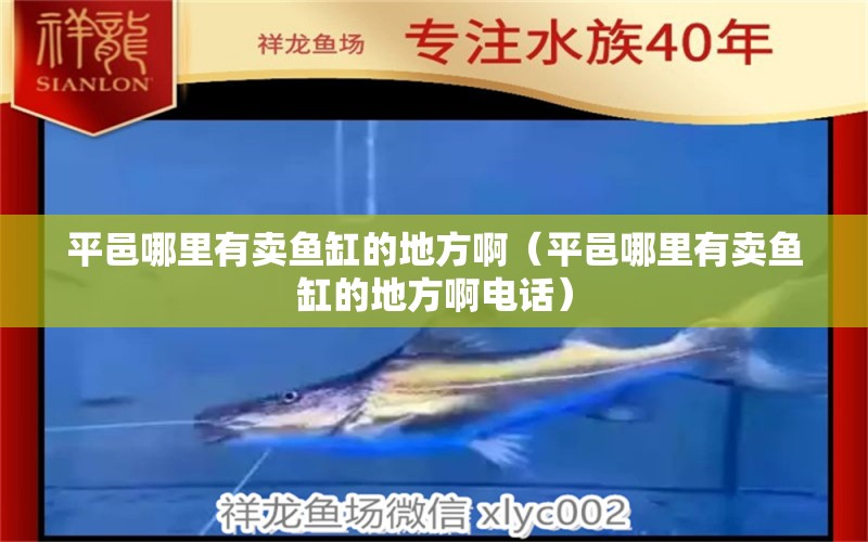 平邑哪里有賣魚缸的地方?。ㄆ揭啬睦镉匈u魚缸的地方啊電話）