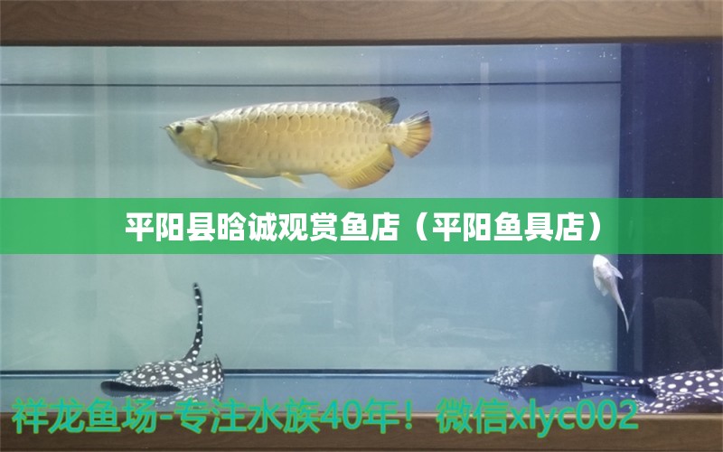 平陽縣晗誠觀賞魚店（平陽魚具店）