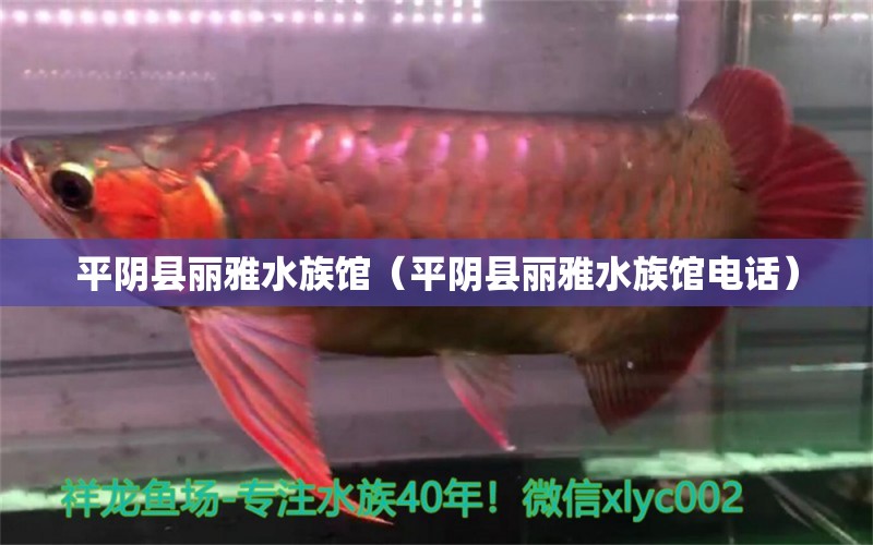 平陰縣麗雅水族館（平陰縣麗雅水族館電話） 全國水族館企業(yè)名錄