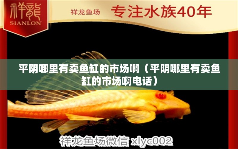 平陰哪里有賣魚缸的市場?。ㄆ疥幠睦镉匈u魚缸的市場啊電話）