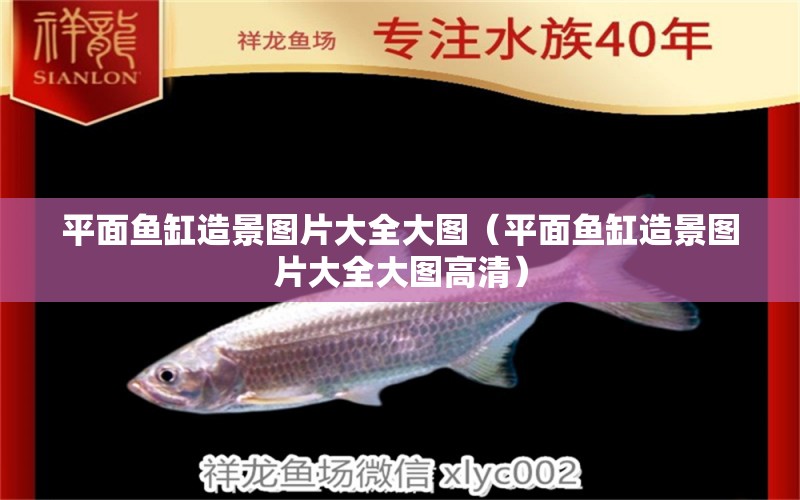 平面魚缸造景圖片大全大圖（平面魚缸造景圖片大全大圖高清） 觀賞魚市場（混養(yǎng)魚）