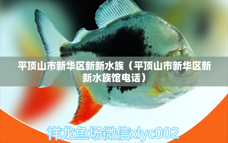 平頂山市新華區(qū)新新水族（平頂山市新華區(qū)新新水族館電話）