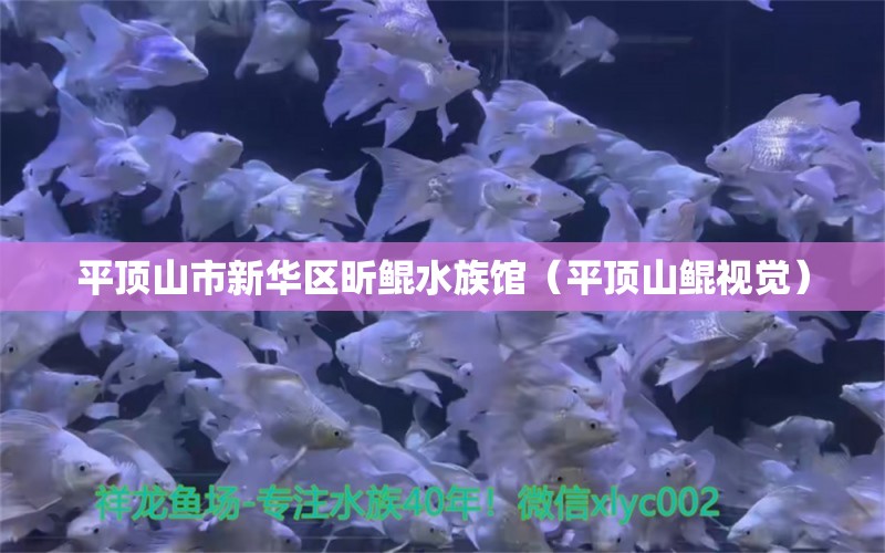 平頂山市新華區(qū)昕鯤水族館（平頂山鯤視覺） 全國(guó)水族館企業(yè)名錄