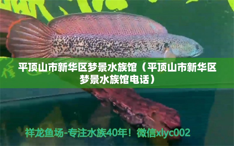 平頂山市新華區(qū)夢景水族館（平頂山市新華區(qū)夢景水族館電話）