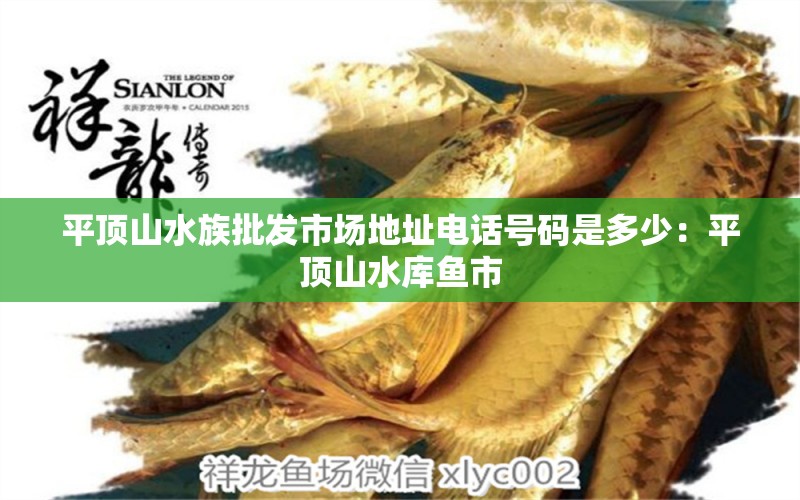 平頂山水族批發(fā)市場地址電話號碼是多少：平頂山水庫魚市