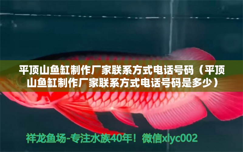 平頂山魚缸制作廠家聯(lián)系方式電話號碼（平頂山魚缸制作廠家聯(lián)系方式電話號碼是多少）