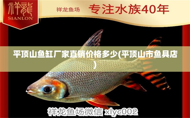 平頂山魚缸廠家直銷價(jià)格多少(平頂山市魚具店) 元寶鳳凰魚專用魚糧