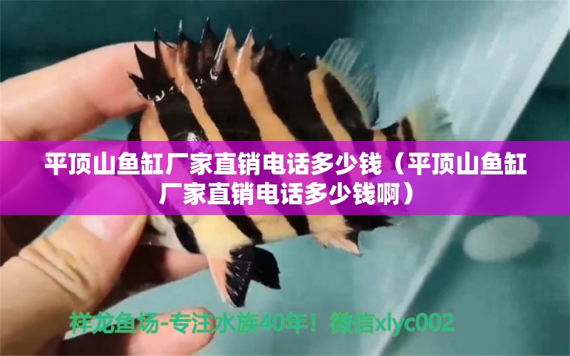 平頂山魚缸廠家直銷電話多少錢（平頂山魚缸廠家直銷電話多少錢?。?高背金龍魚