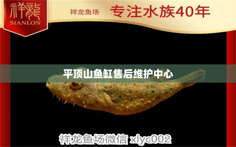 平頂山魚缸售后維護中心 其他品牌魚缸