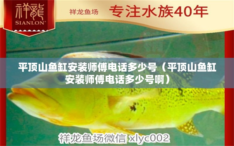 平頂山魚缸安裝師傅電話多少號（平頂山魚缸安裝師傅電話多少號?。? title=