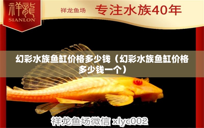 幻彩水族魚缸價格多少錢（幻彩水族魚缸價格多少錢一個） 白條過背金龍魚