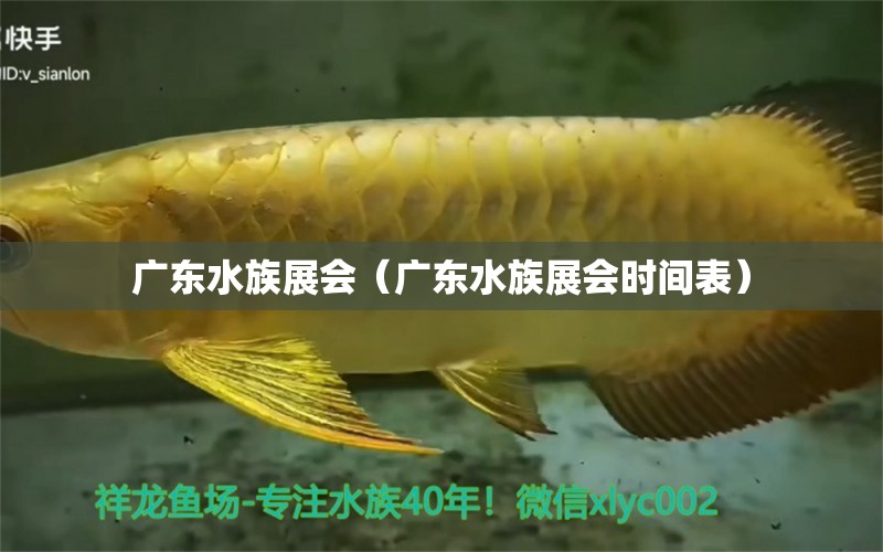 廣東水族展會(huì)（廣東水族展會(huì)時(shí)間表）