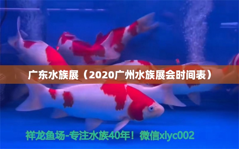 廣東水族展（2020廣州水族展會(huì)時(shí)間表）