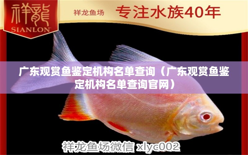 廣東觀賞魚鑒定機構(gòu)名單查詢（廣東觀賞魚鑒定機構(gòu)名單查詢官網(wǎng)）