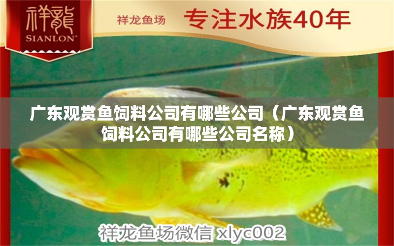 廣東觀賞魚飼料公司有哪些公司（廣東觀賞魚飼料公司有哪些公司名稱）